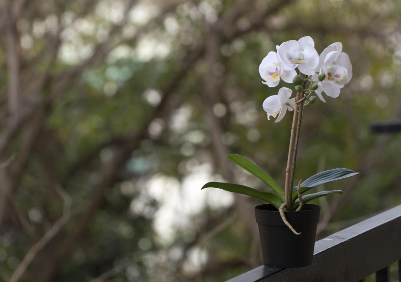 Houseloft Harmony Gardens Apartment Thessaloníki Luaran gambar